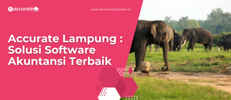 acurate lampung